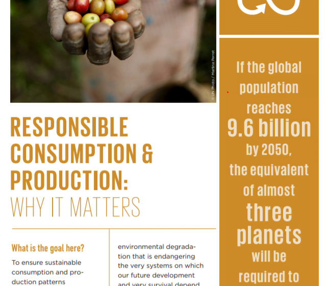  17 SDGs – Mục tiêu 12 : Tiêu thụ và sản xuất có trách nhiệm