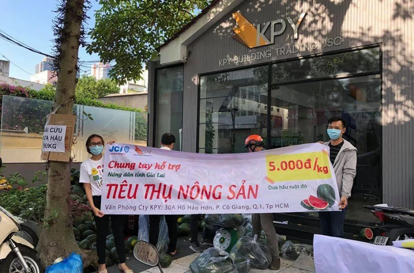  JCI Central Saigon: Chung tay giải cứu dưa hấu