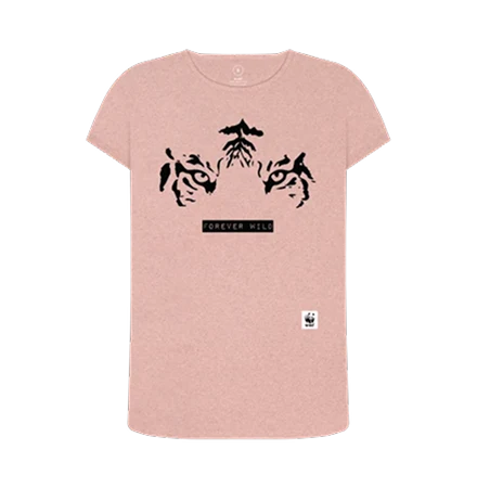 jdtnsog4omitvkvpyujxj4bnze9vgvjayjahxwumncct5fa2y