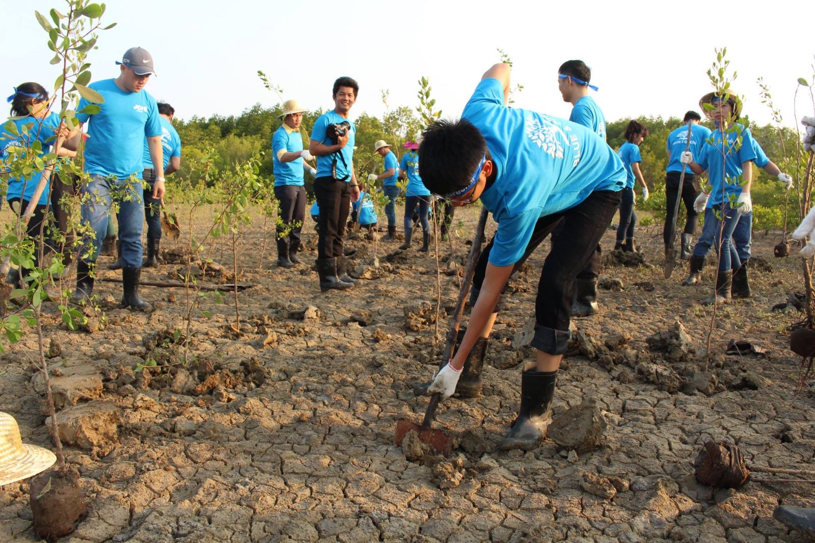 Dự án Blue & Green – JCI East Saigon